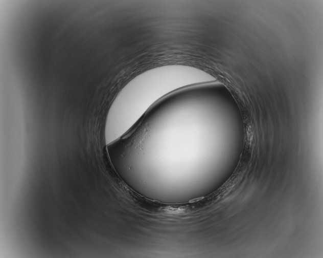 X0000096170570200801180832
