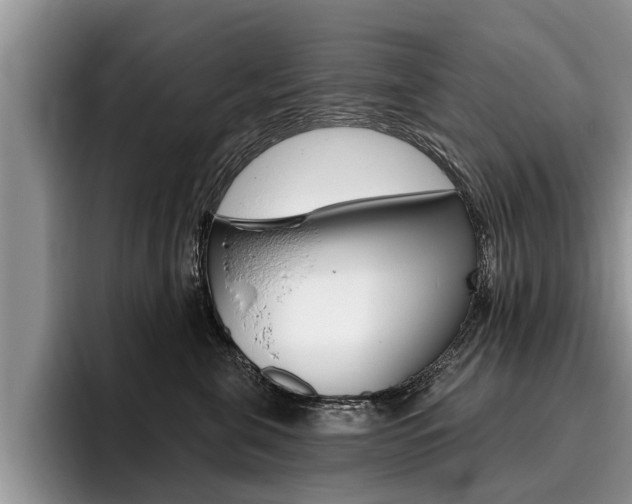 X0000096170571200801180832