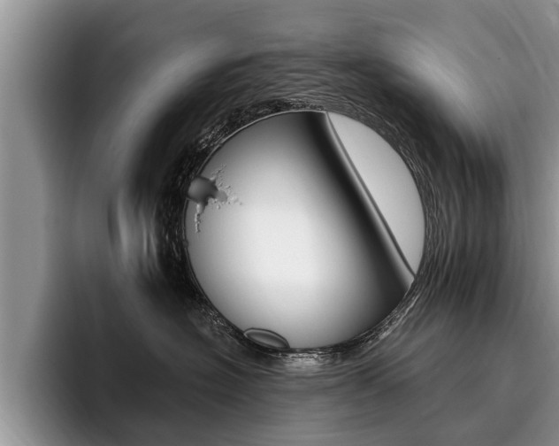 X0000096170574200801180832