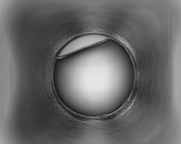 X0000096170577200801180832