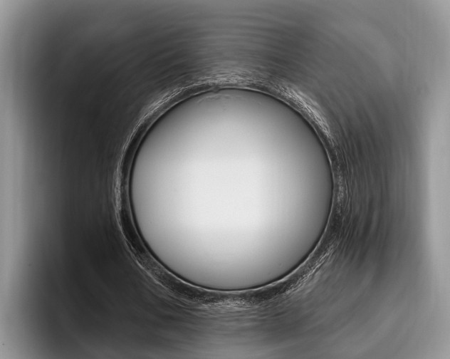 X0000096170578200801180832