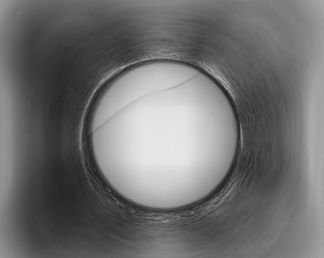 X0000096170579200801180832