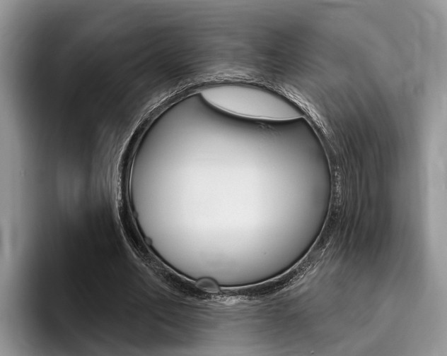 X0000096170582200801180832