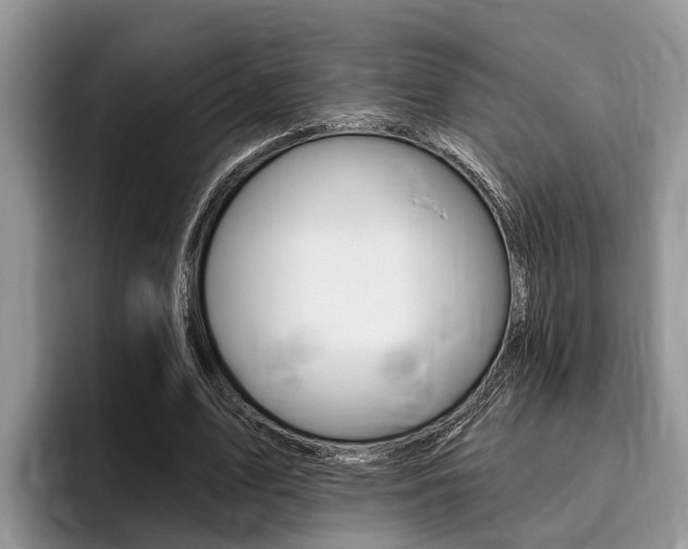 X0000096170583200801180832