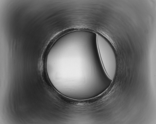 X0000096170584200801180832