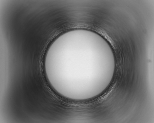 X0000096170585200801180832