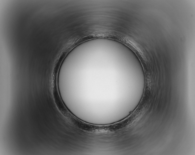 X0000096170586200801180832