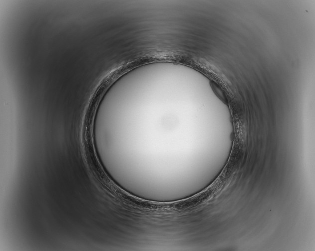 X0000096170587200801180832