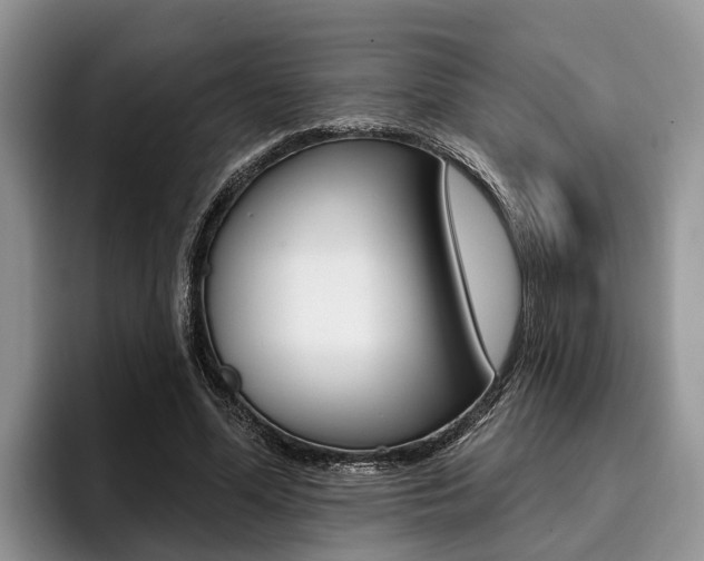 X0000096170588200801180832