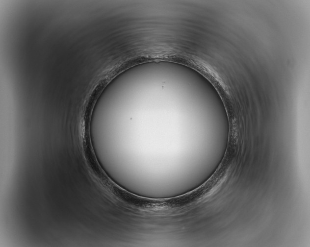 X0000096170589200801180832