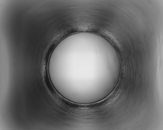 X0000096170590200801180832