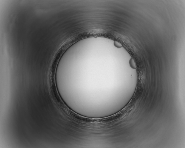 X0000096170591200801180832