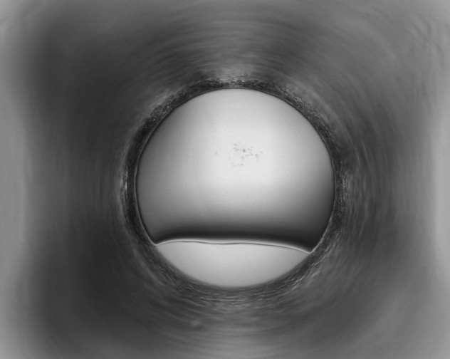 X0000096170592200801180832