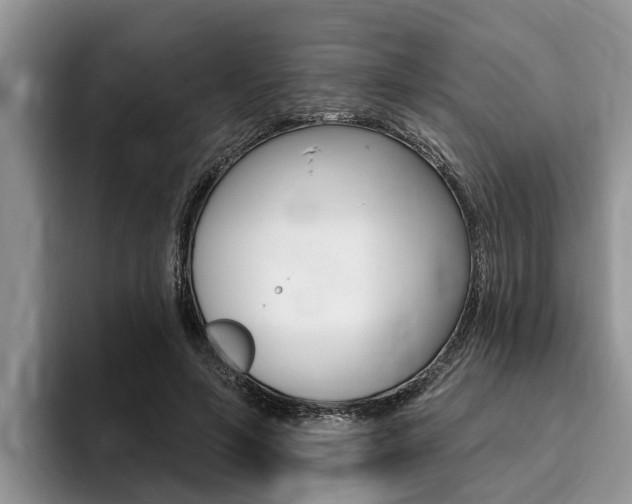X0000096170594200801180832