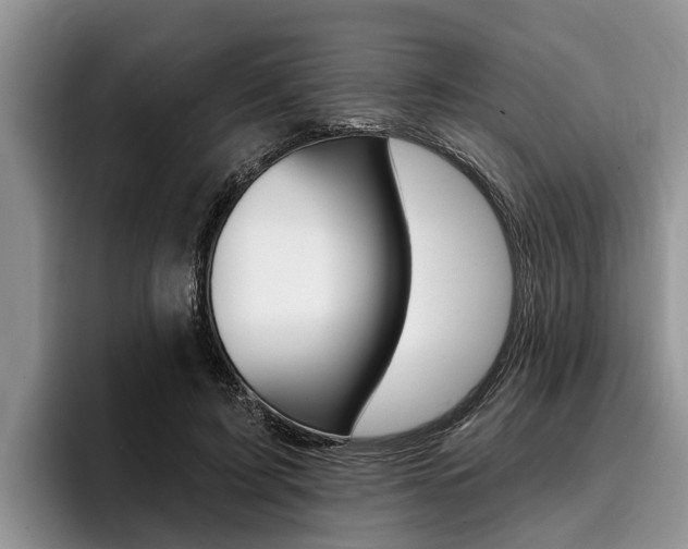 X0000096170595200801180832