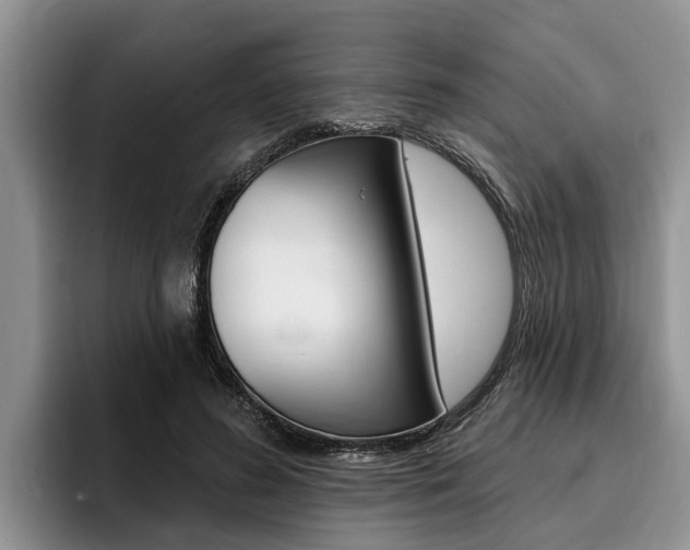 X0000096170596200801180832