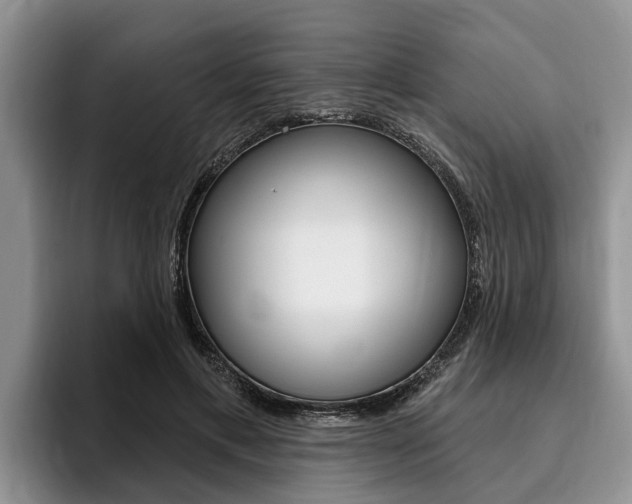 X0000096170597200801180832