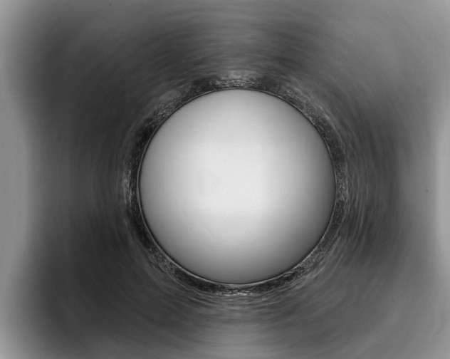 X0000096170599200801180831