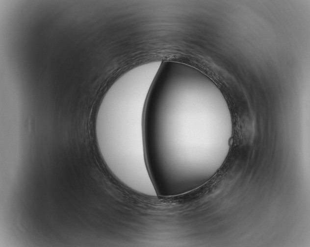 X0000096170601200801180831