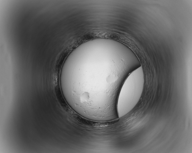 X0000096170602200801180831