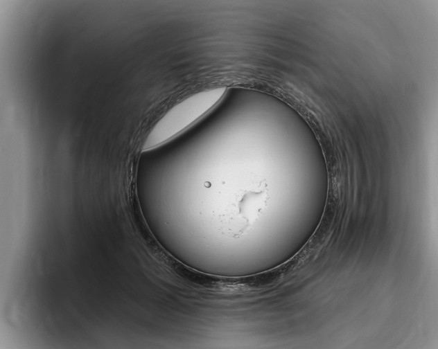 X0000096170605200801180831