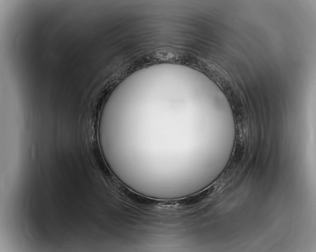 X0000096170606200801180831