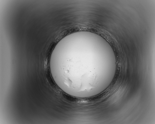 X0000096170610200801180831