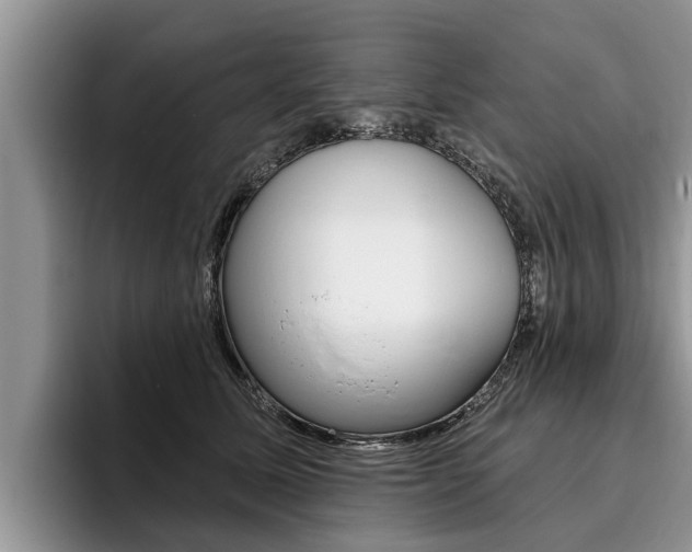 X0000096170611200801180831