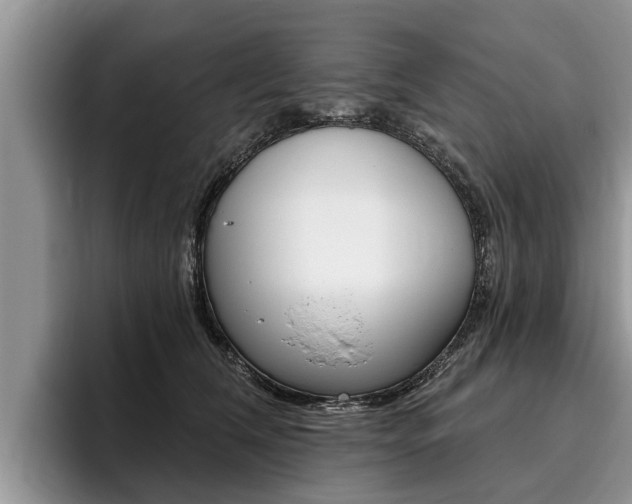 X0000096170612200801180831