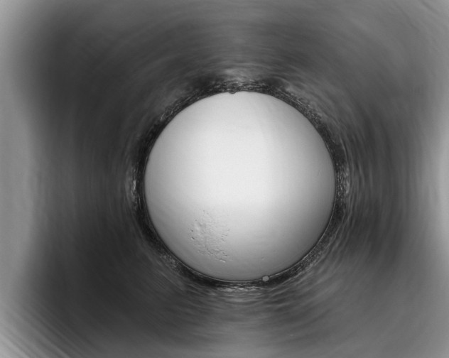X0000096170615200801180831