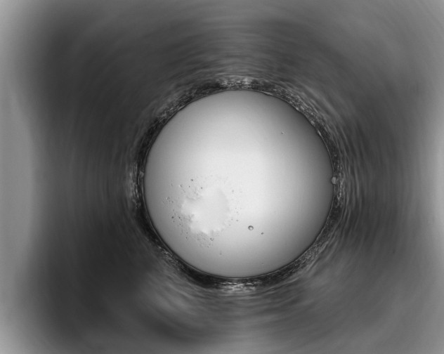 X0000096170616200801180831