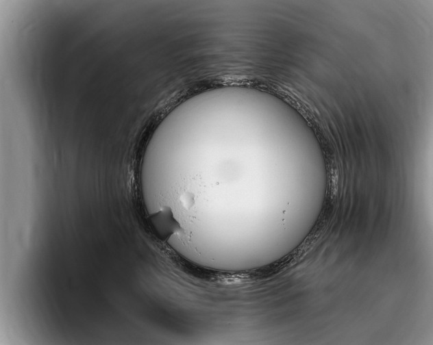 X0000096170618200801180831