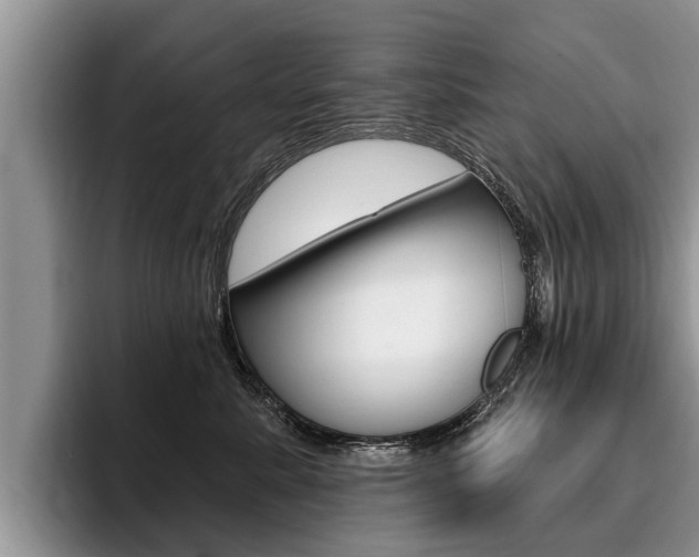 X0000096170619200801180831