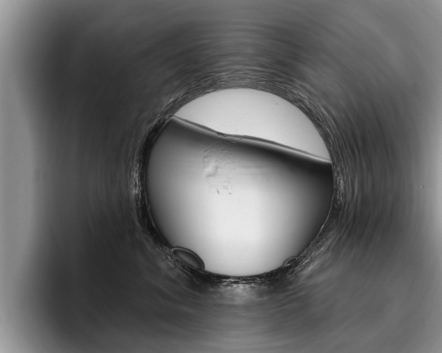 X0000096170620200801180831