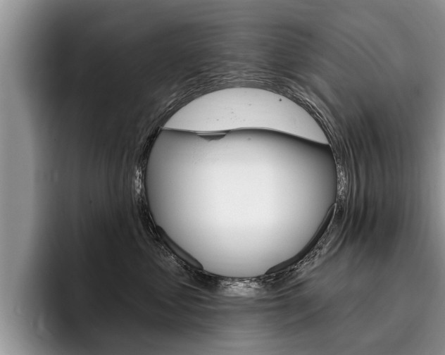 X0000096170621200801180831