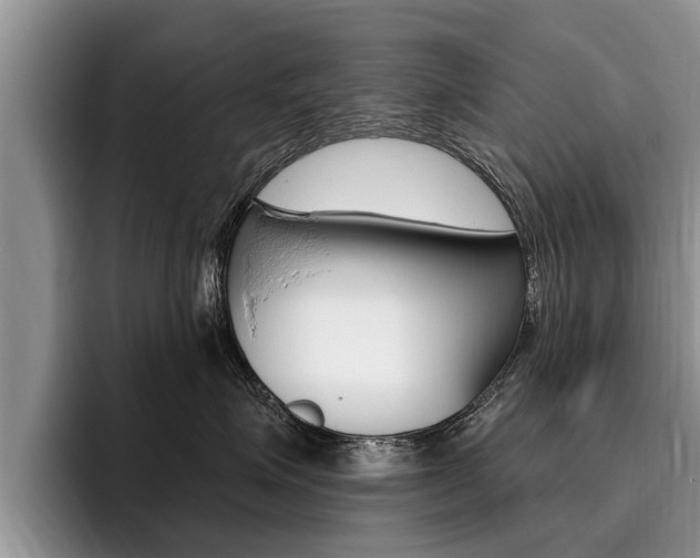 X0000096170623200801180831