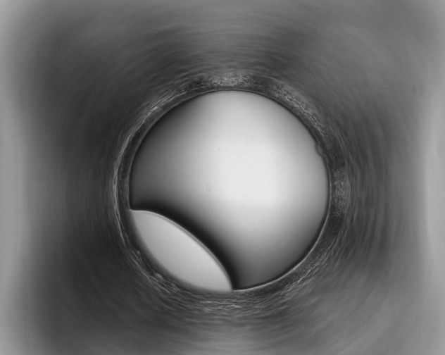 X0000096170626200801180831