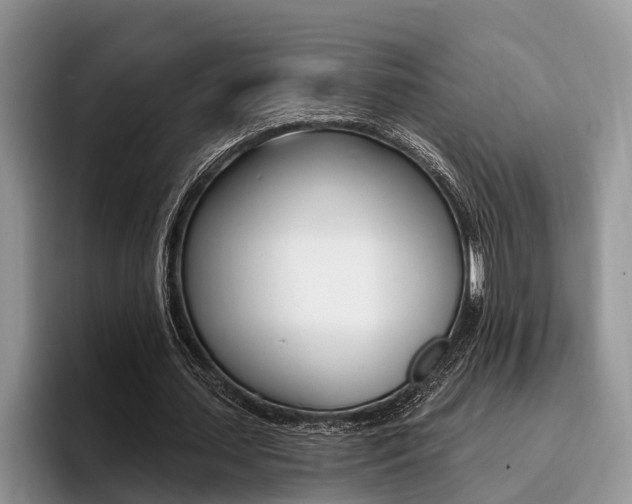 X0000096170627200801180831