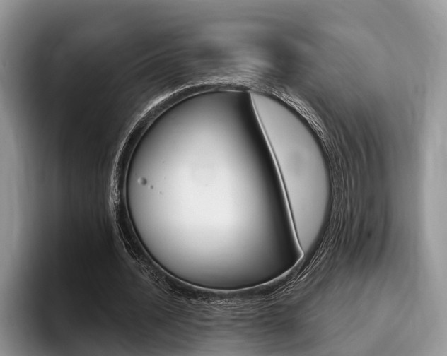 X0000096170628200801180831
