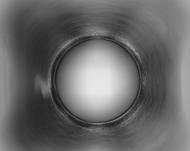 X0000096170629200801180831