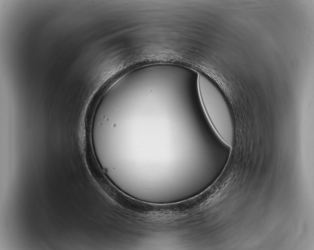X0000096170630200801180831