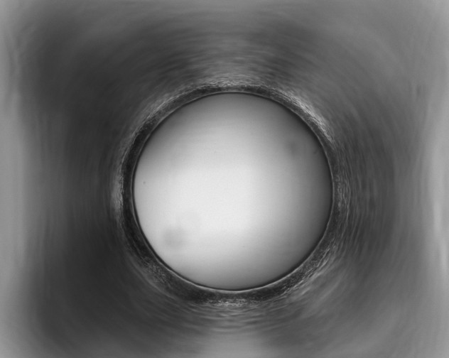 X0000096170631200801180831