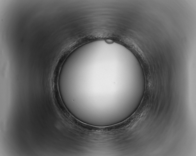 X0000096170635200801180831