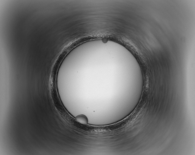 X0000096170636200801180831