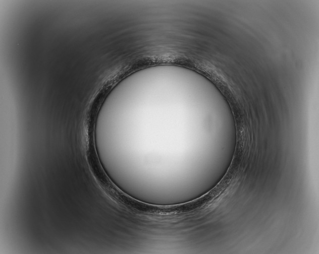 X0000096170638200801180831