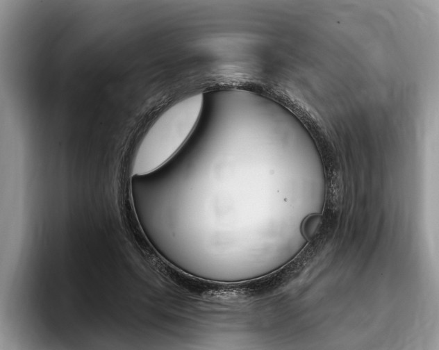 X0000096170639200801180831
