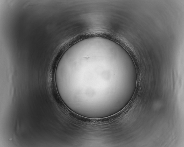 X0000096170640200801180831