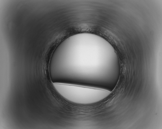X0000096170643200801180831