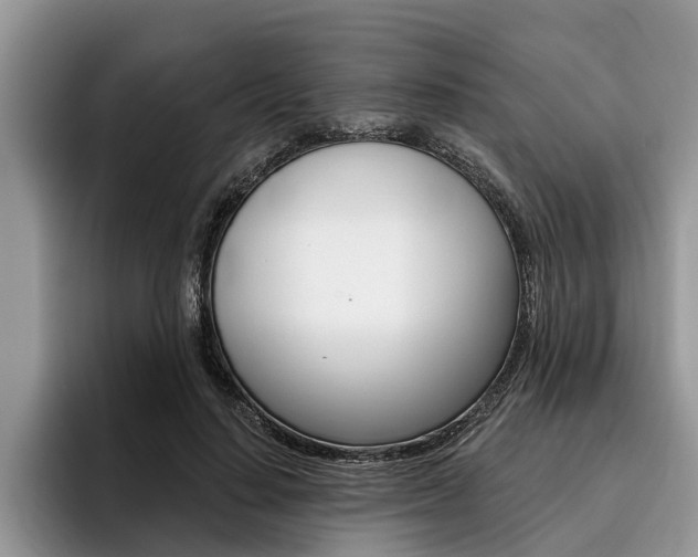X0000096170644200801180831