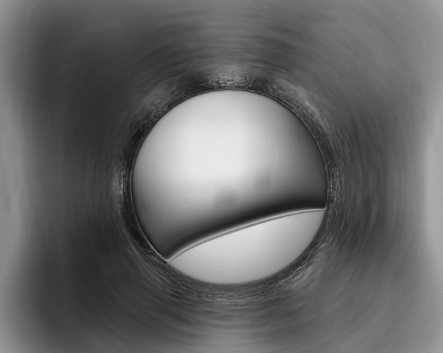 X0000096170645200801180831
